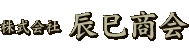 株式会社辰巳商会