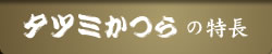 タツミかつらの特長